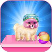 pomeranian puppy day care games logo