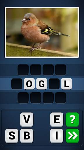 PicWords 2 screenshot 1