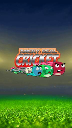 Cricket Game: Angry Style screenshot 1