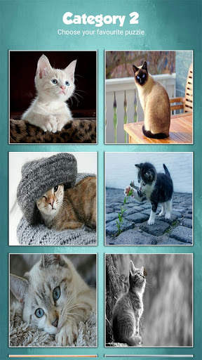 Cute Baby Cats Jigsaw Puzzle Game screenshot 4