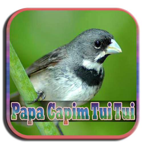 Papa Capim Tui Tui icon