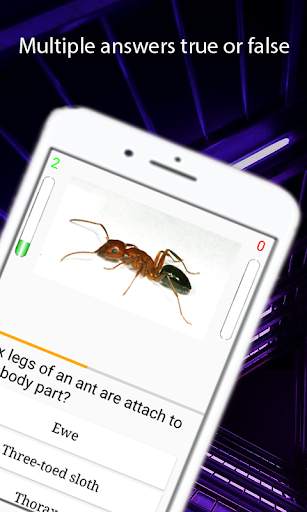 Animals Quiz - Learn All Animals скриншот 3