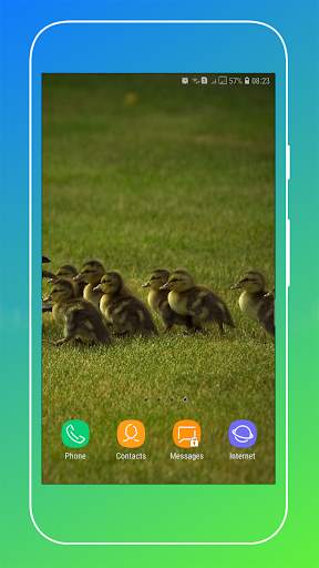 Duck Wallpaper screenshot 10