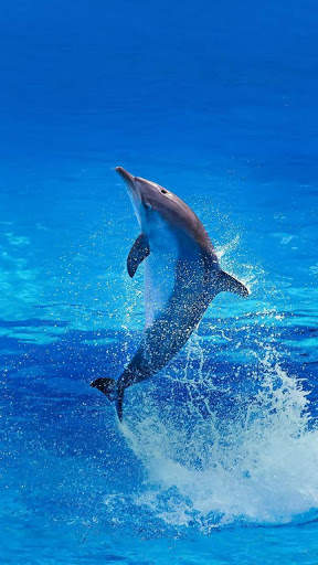 Ocean Wallpaper HD screenshot 7