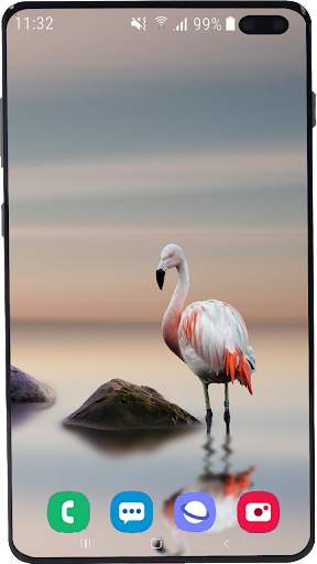 Flamingo Wallpaper HD screenshot 2