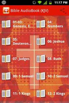 Bible AudioBook (KJV) screenshot 1