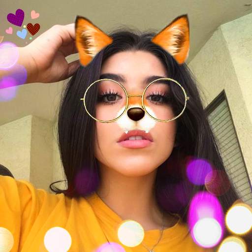Sweet Face Snap Selfie Photo Camera Editor 0.1