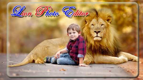 Lion Photo Editor screenshot 3