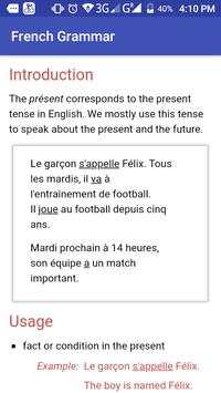 Basic French grammar (Offline) screenshot 3