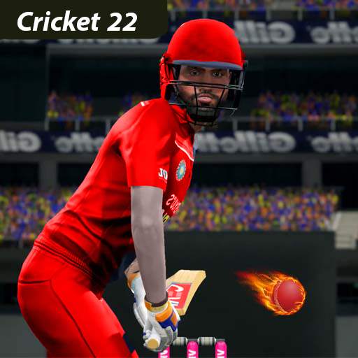 Real cricket 2022 Riddle 1.0.1