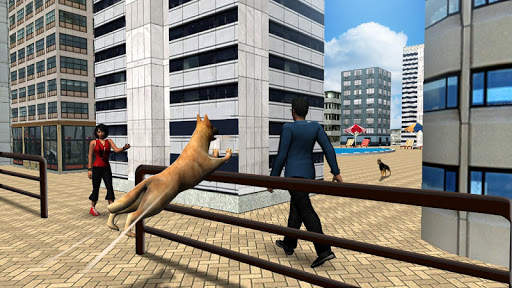 Dog Simulator 2017 - Pet Games screenshot 3