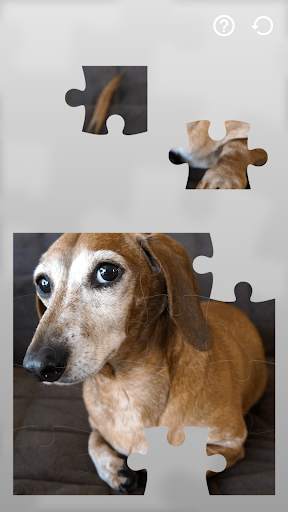 Jigsaw Puzzles Dogs स्क्रीनशॉट 7