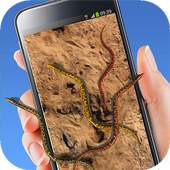 Live Wallpaper Snake Screen 1.1