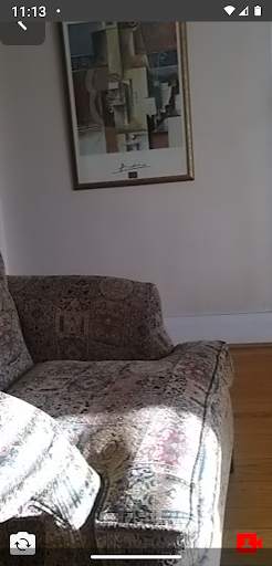 Remote Video Camera screenshot 2