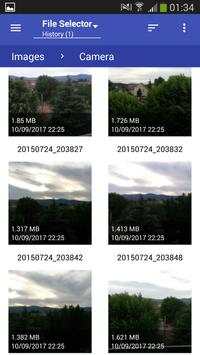 File Selector/Explorer screenshot 13