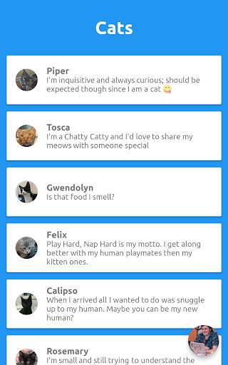 CatBox скриншот 3