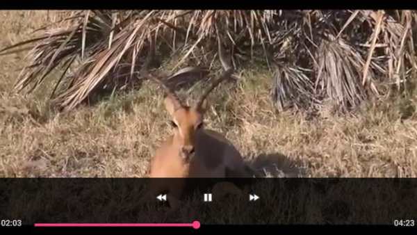 Video Player Lite screenshot 5
