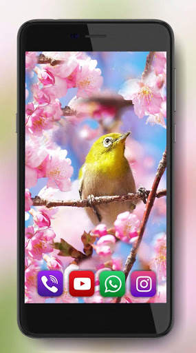 Spring Birds Live Wallpaper स्क्रीनशॉट 6