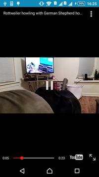 Funny Videos screenshot 2