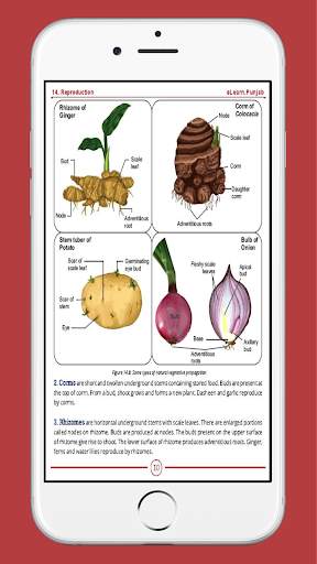 Biology 10 English Medium Textbook (Offline) screenshot 6