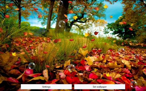Autumn Live Wallpaper Free screenshot 8