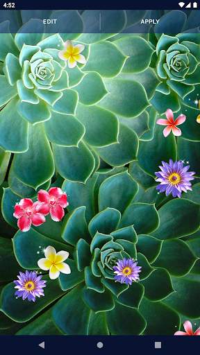 Tropical Exotic Live Wallpaper screenshot 8