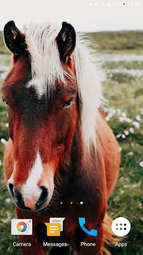 Horses Video Live Wallpaper screenshot 3