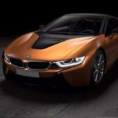 Real BMW Driving Simulator 2019 1