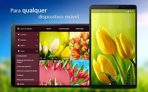 Papéis de parede com tulipa 4K screenshot 5