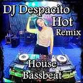 Hot Remix DJ Despacito Full on 9Apps