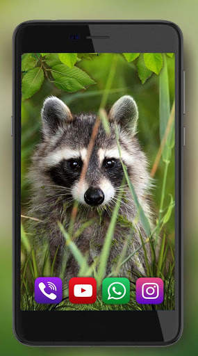 Forest Animals Live Wallpaper screenshot 3