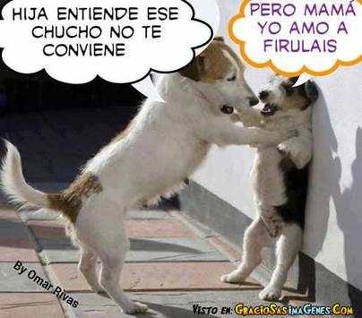 fotos; memes graciosos screenshot 2