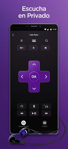 Roku screenshot 3