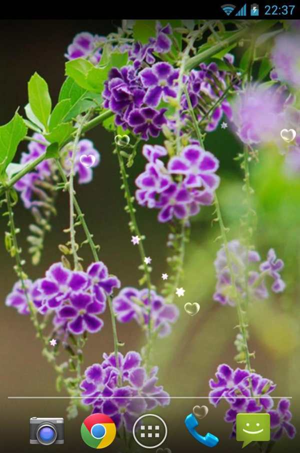 Lavender Live Wallpaper screenshot 4