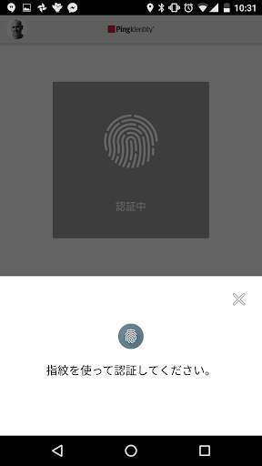 PingID screenshot 2