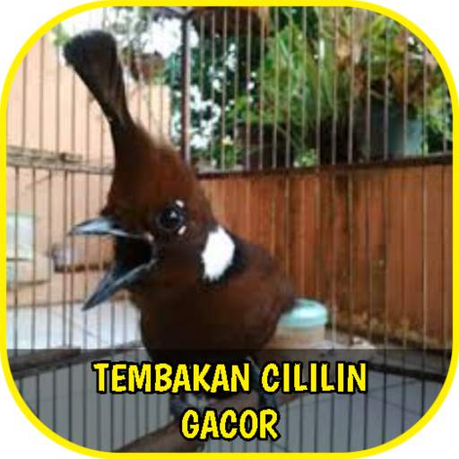 Tembakan Cililin Gacor Offline screenshot 1