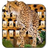 Cheetah keyboard theme 10001003