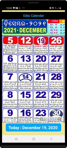 Odia Calendar 2021 screenshot 4