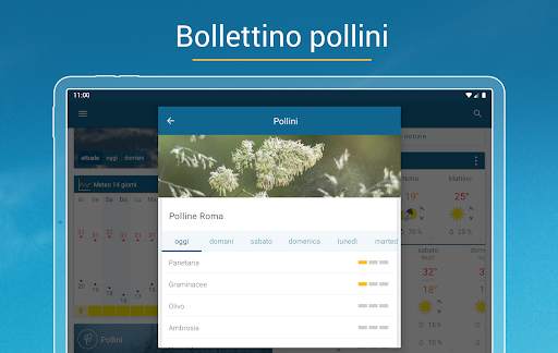 Meteo & Radar: allerte meteo screenshot 16