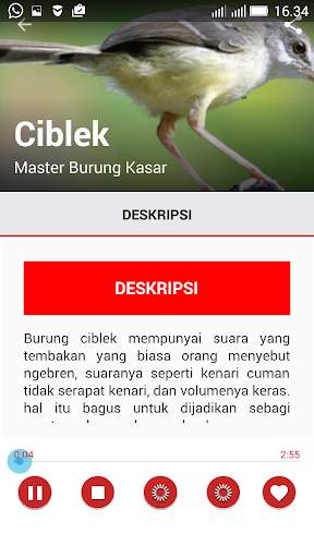 Master Suara Burung Kasar screenshot 4