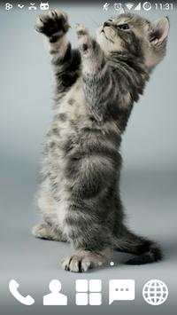 Cheery Kitty GO Launcher Theme screenshot 2