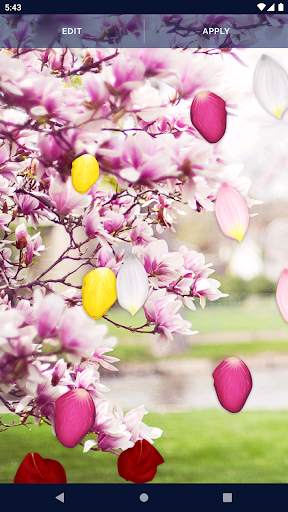 Spring Petals Live Wallpaper screenshot 5