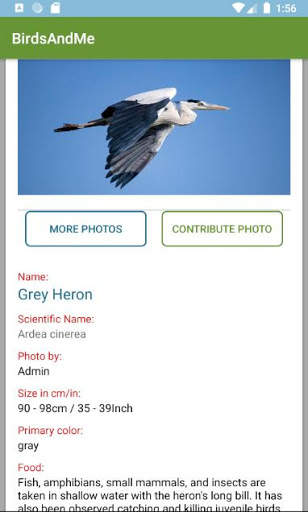 Birds And Me - a Bird reference guide screenshot 4