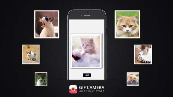 GIF Camera - Video to GIF screenshot 2