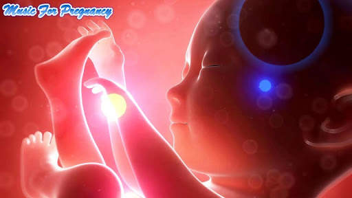 PREGNANCY MUSIC COLLECTION screenshot 2