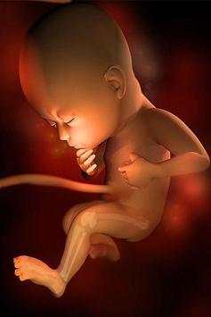 Pregnancy apps. Week by week 4 تصوير الشاشة