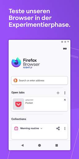 Firefox Nightly for Developers screenshot 1