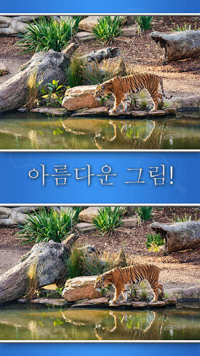 차이 게임 screenshot 3