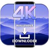 Wallpaper Downloader logo