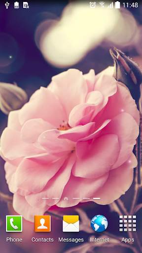 Rose Live Wallpaper screenshot 1